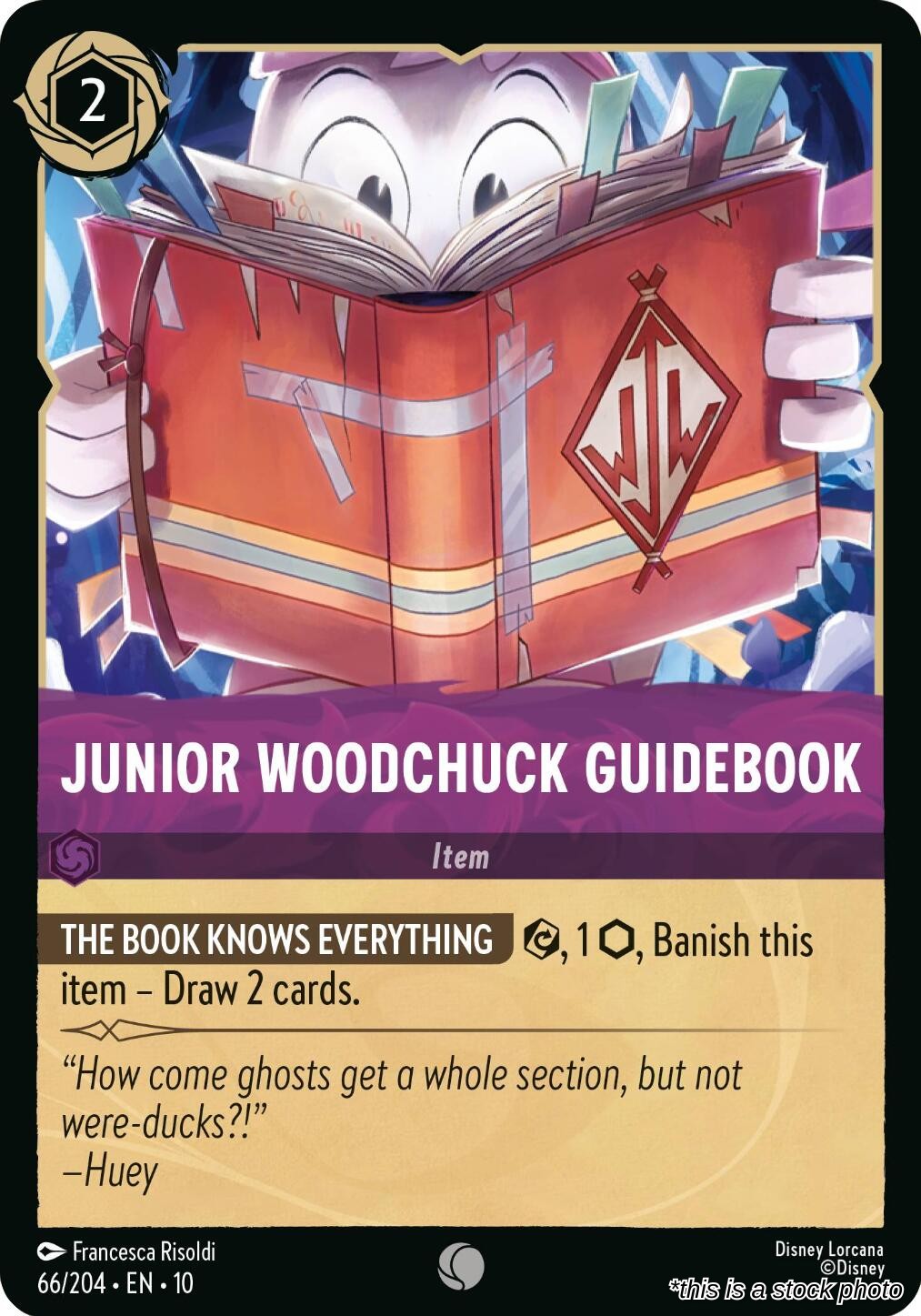 Junior Woodchuck Guidebook