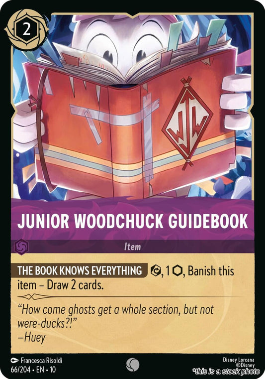 Junior Woodchuck Guidebook