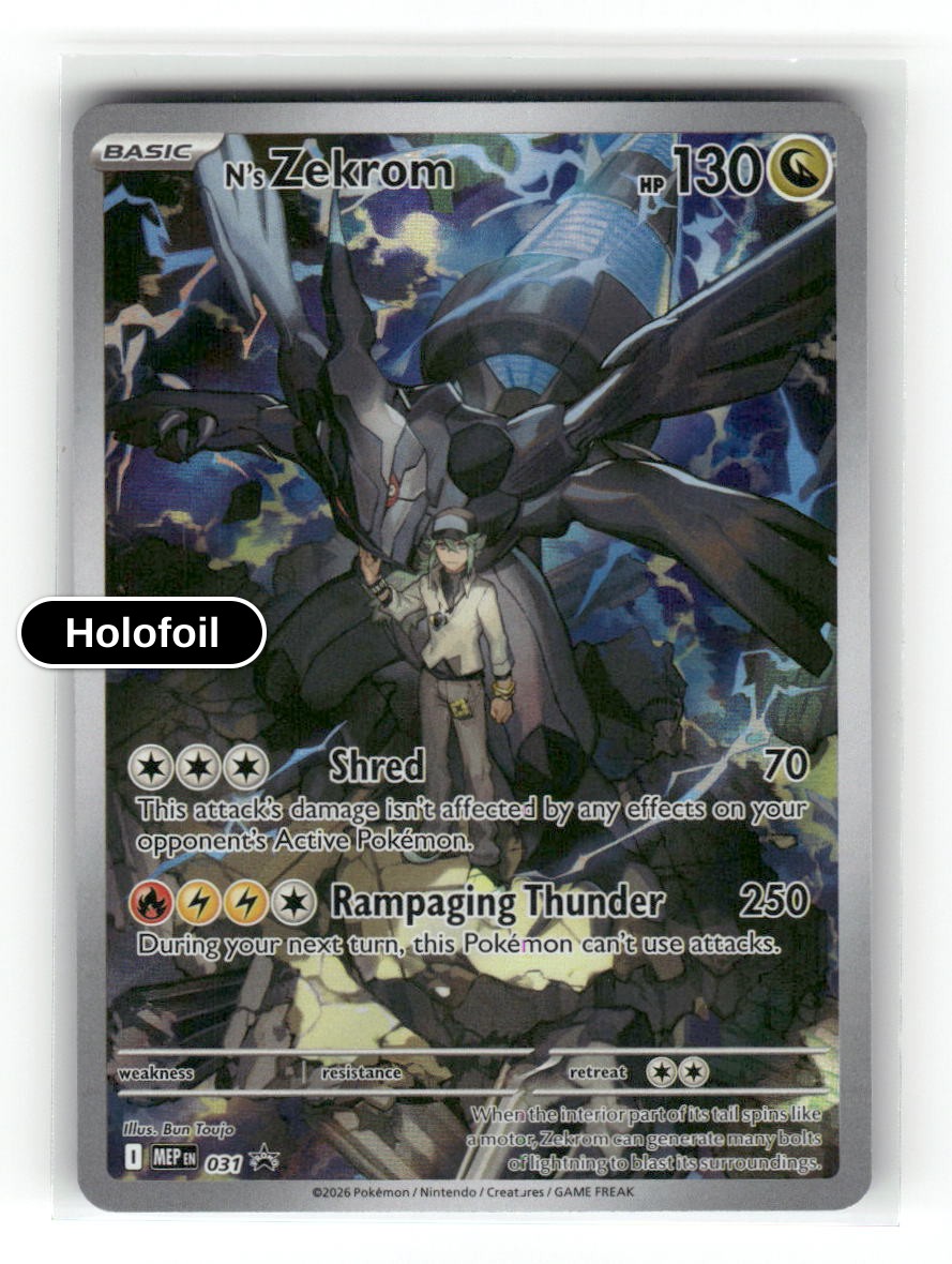 N's Zekrom - 031