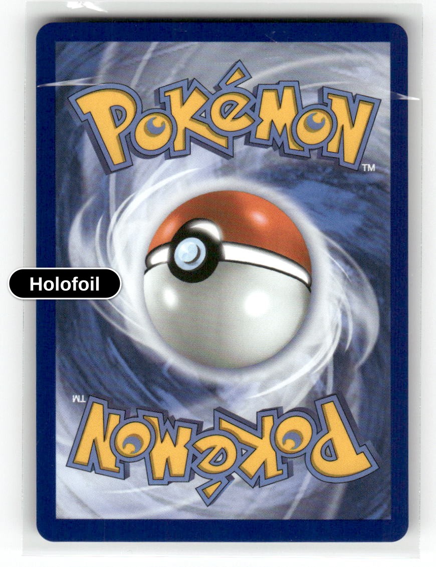 Mega Skarmory ex - 055/088 (Back)