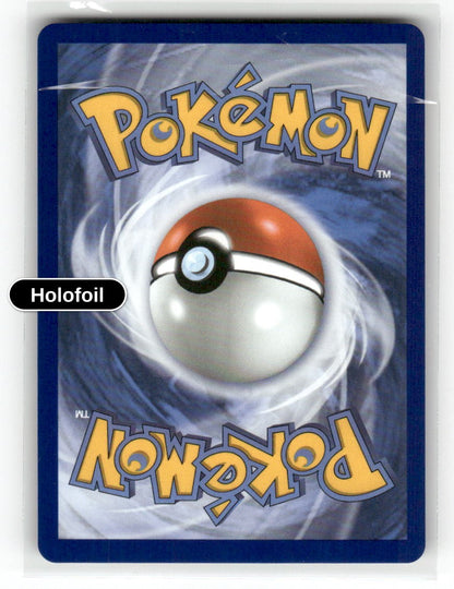 Mega Skarmory ex - 055/088 (Back)
