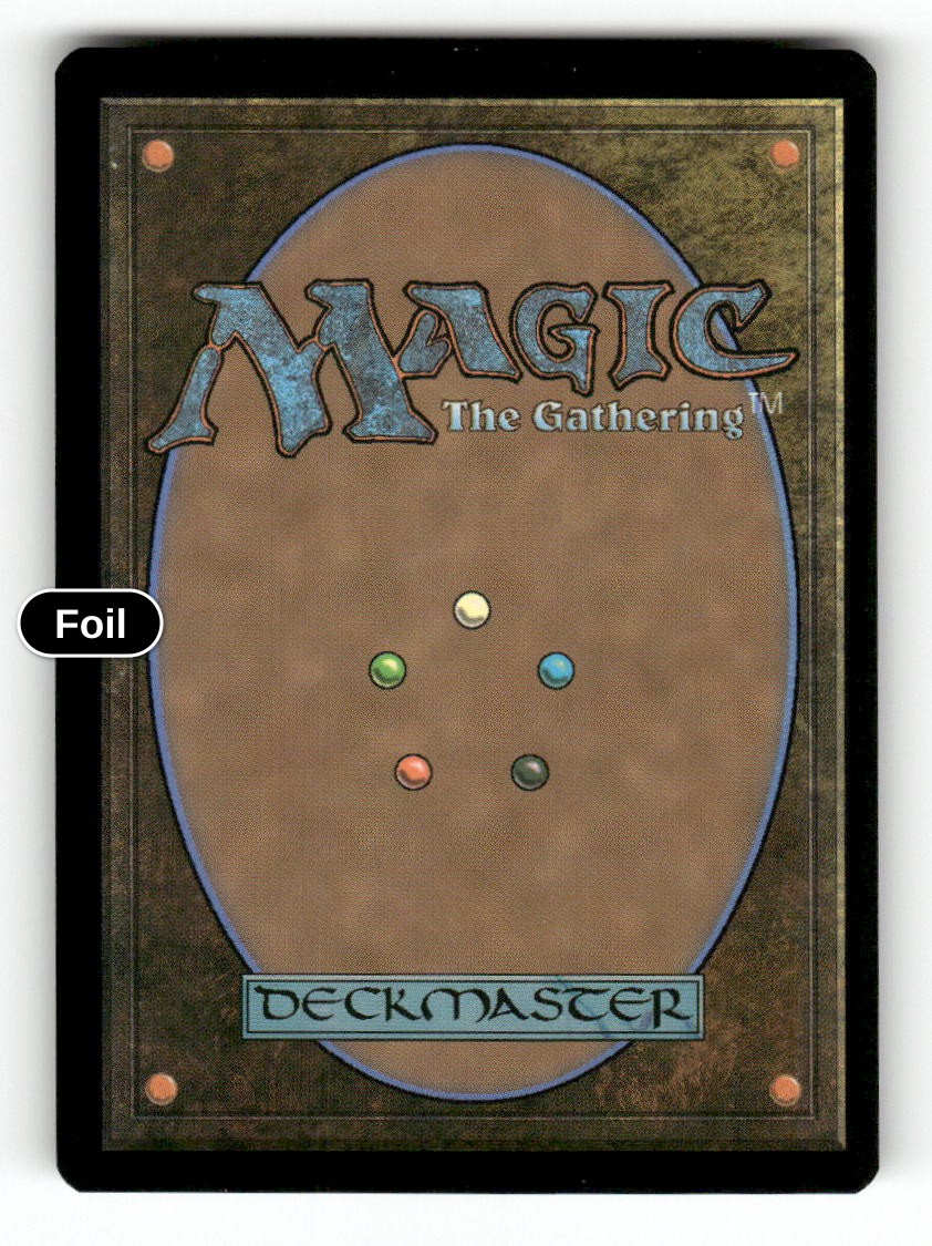 Biblioplex Tomekeeper (Back)