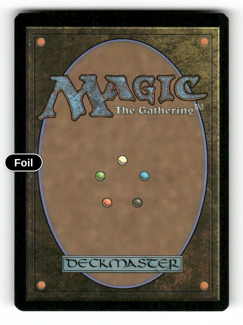 Shattered Sanctum (Back)