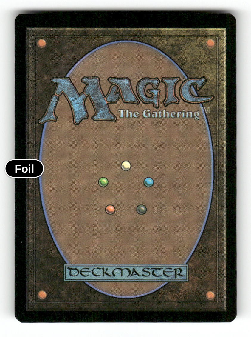 Shattered Sanctum (Back)