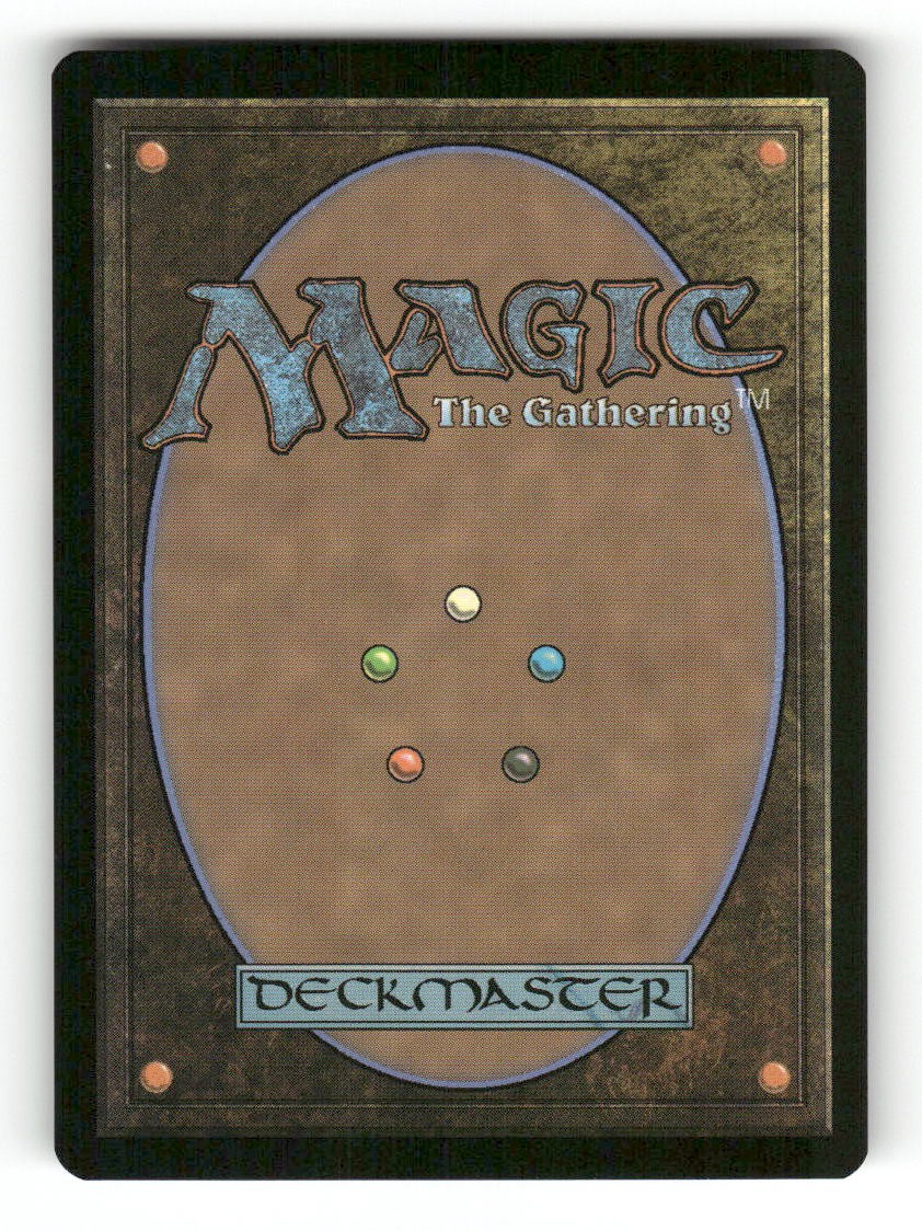 Stormcarved Coast (Borderless) (Back)