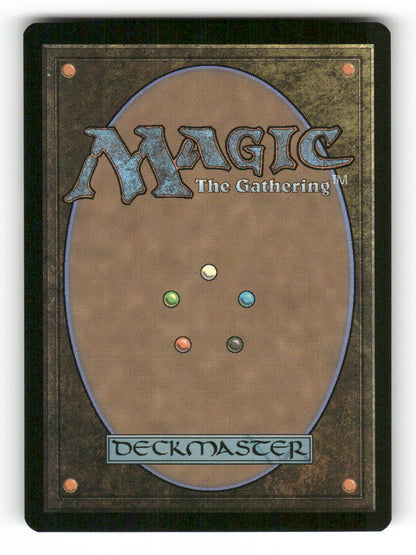 Stormcarved Coast (Borderless) (Back)