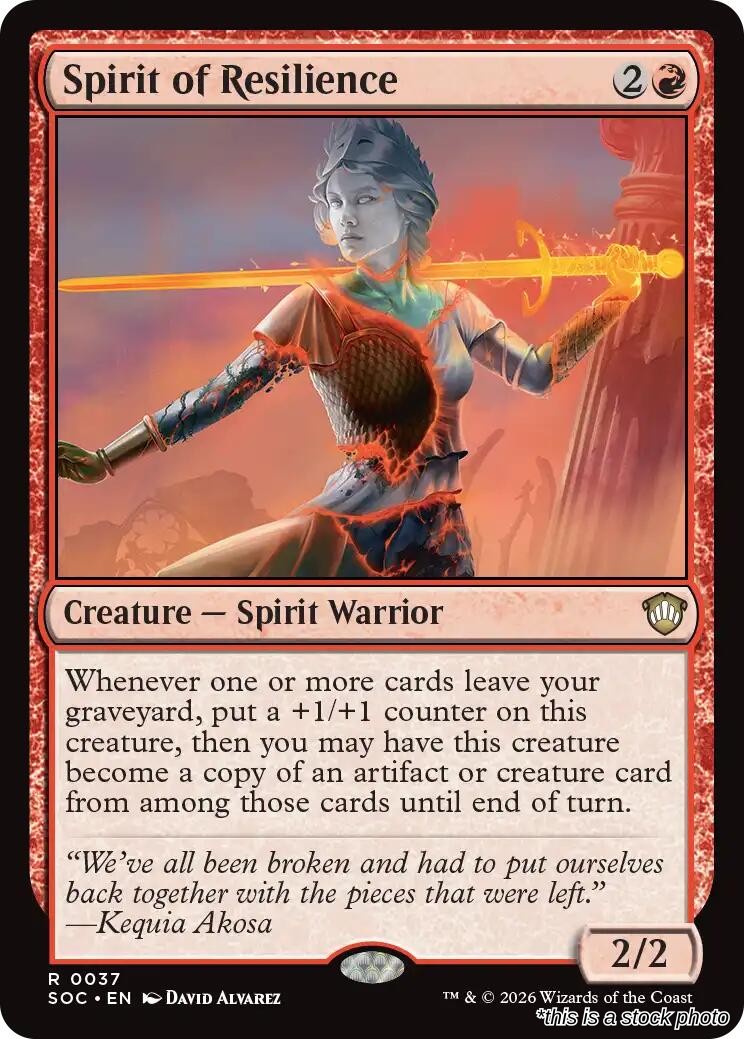 Spirit of Resilience