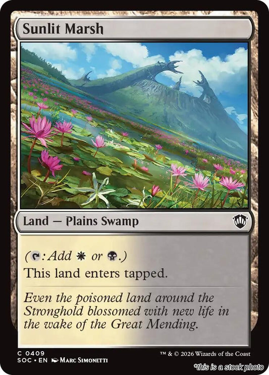 Sunlit Marsh