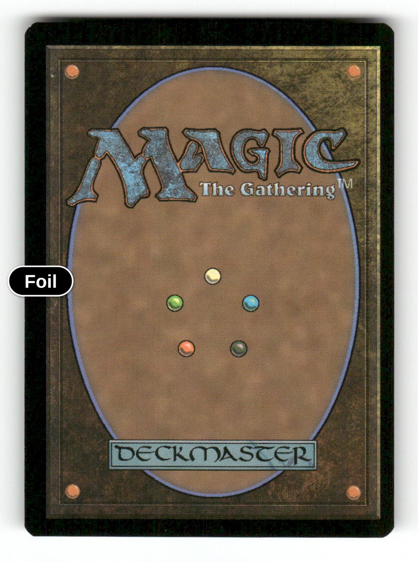 Thunderdrum Soloist (Back)
