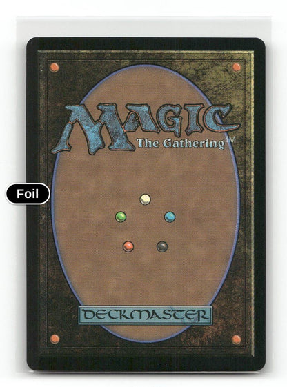 Shared Roots (JP Alternate Art) (Silver Scroll Foil) (Back)