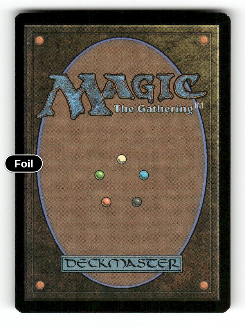 Tackle Artist (Back)