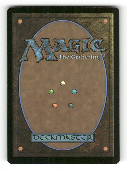Visionary's Dance (Back)