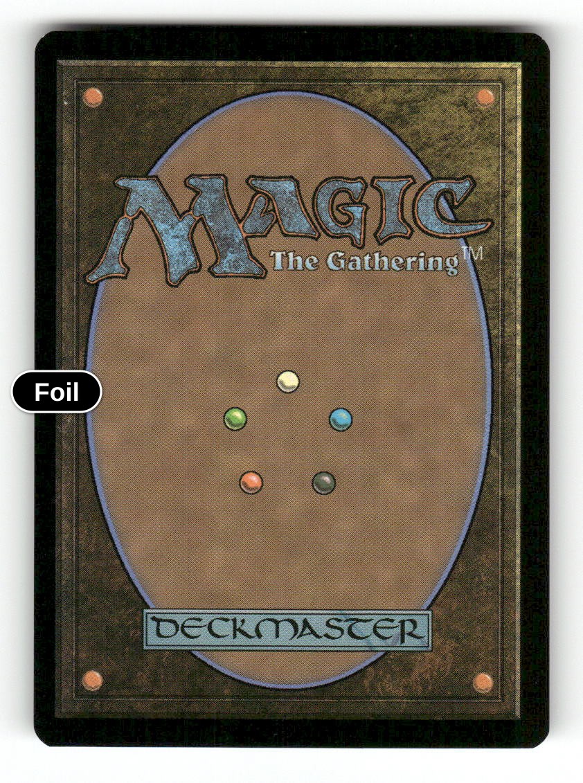 Vastlands Scavenger (Extended Art) (Back)