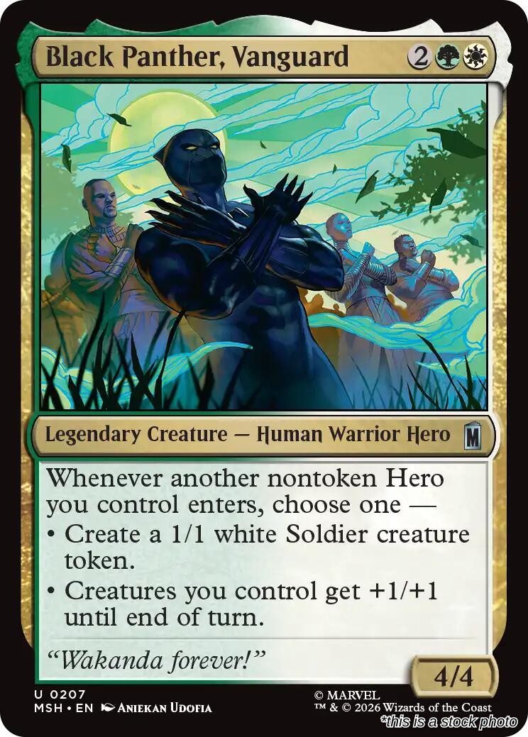 Black Panther, Vanguard