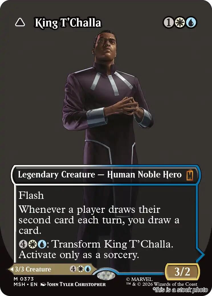 King T'Challa (Borderless) (0373)