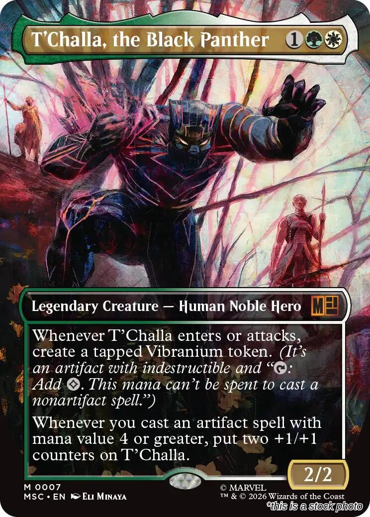 T'Challa, the Black Panther (Borderless)
