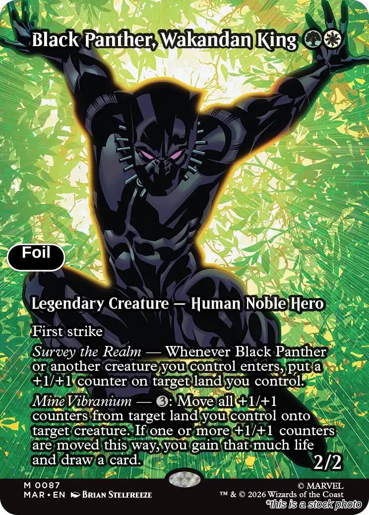 Black Panther, Wakandan King (Borderless)