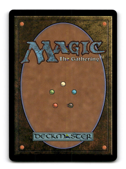 Patriot, Shield Wielder (Back)