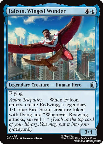 Falcon, Winged Wonder