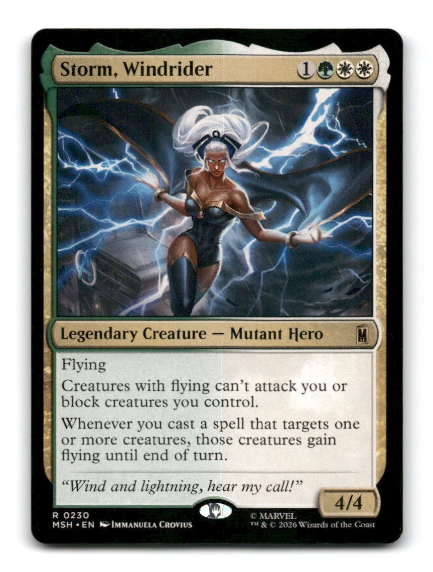 Storm, Windrider