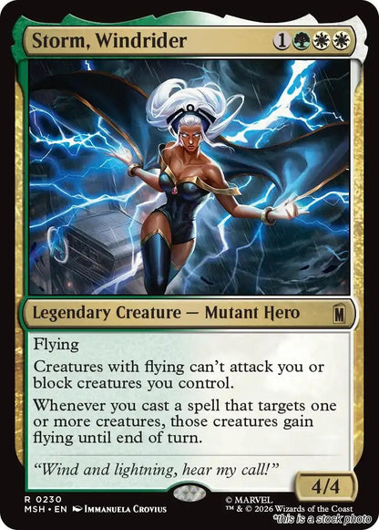 Storm, Windrider