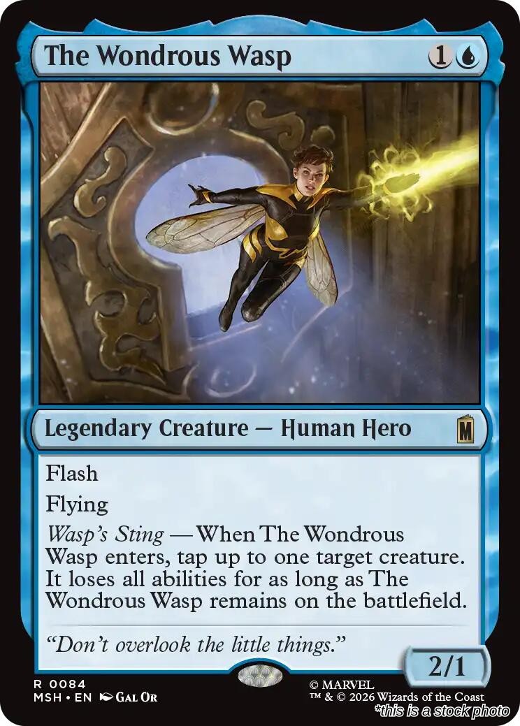 The Wondrous Wasp