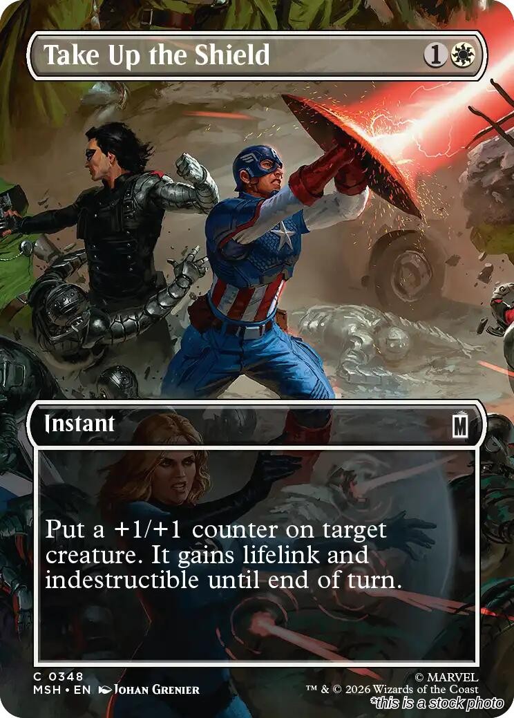 Take Up the Shield (Borderless)