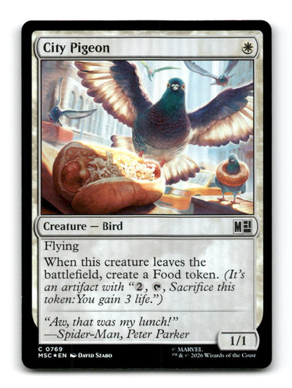 City Pigeon