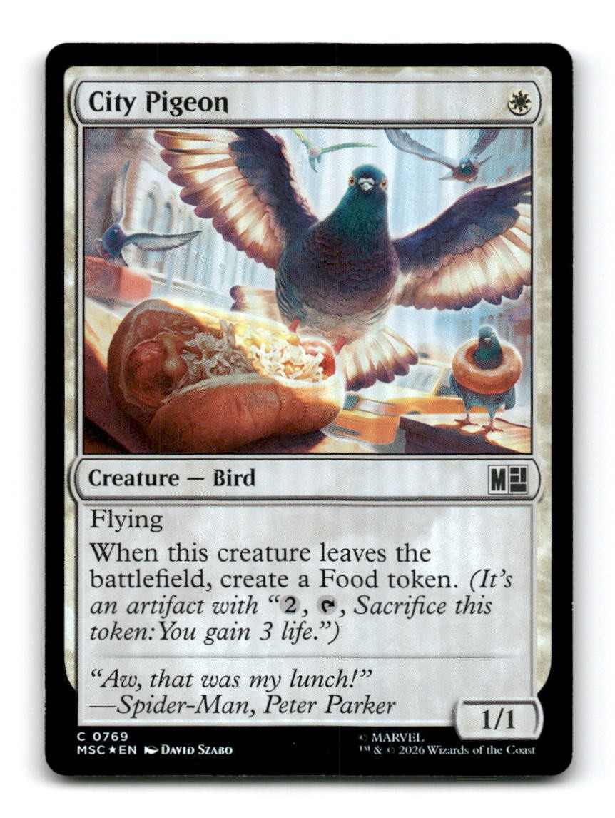 City Pigeon