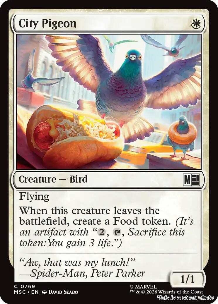 City Pigeon
