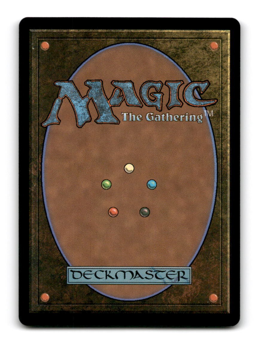 Time Warp (Back)