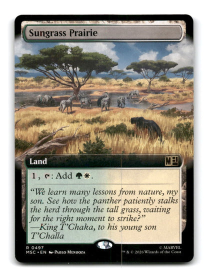 Sungrass Prairie (Extended Art)