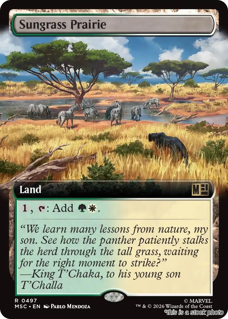 Sungrass Prairie (Extended Art)