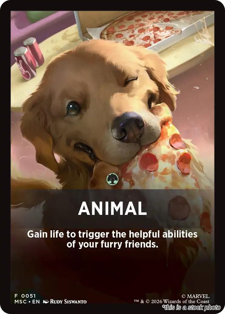 Animal Theme Card