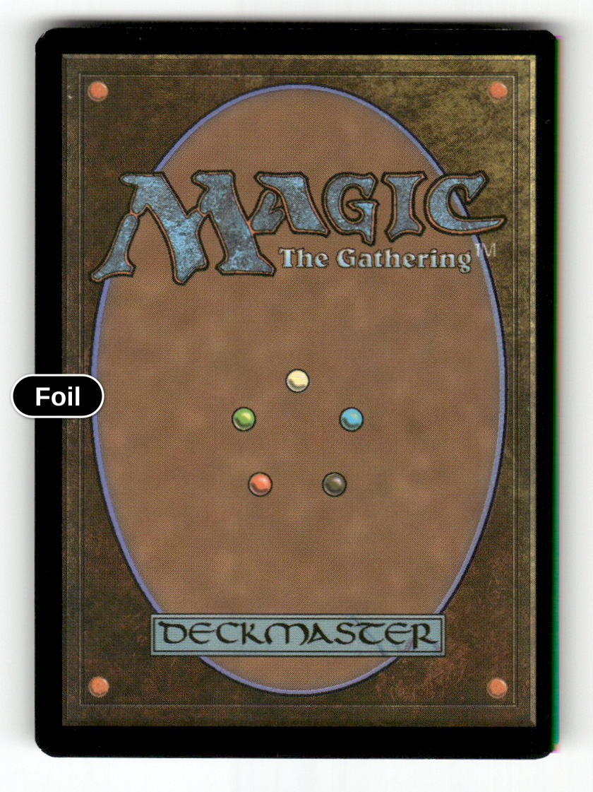 Nori, Teller of Tales (Back)