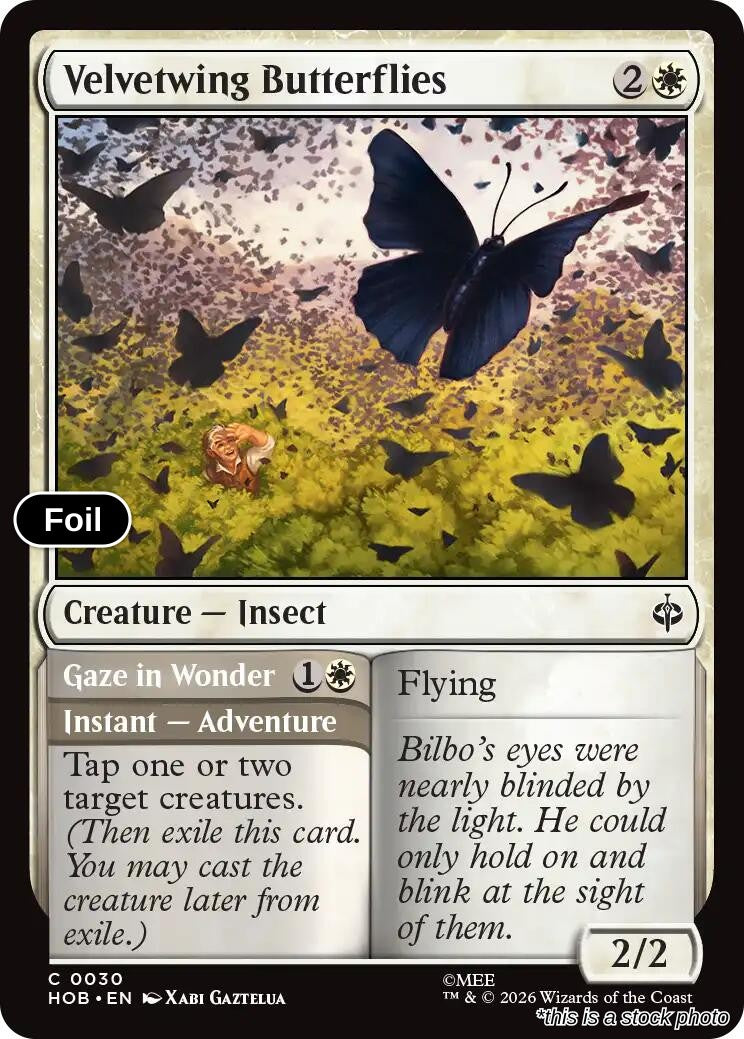 Velvetwing Butterflies