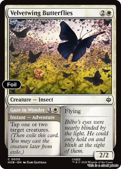 Velvetwing Butterflies