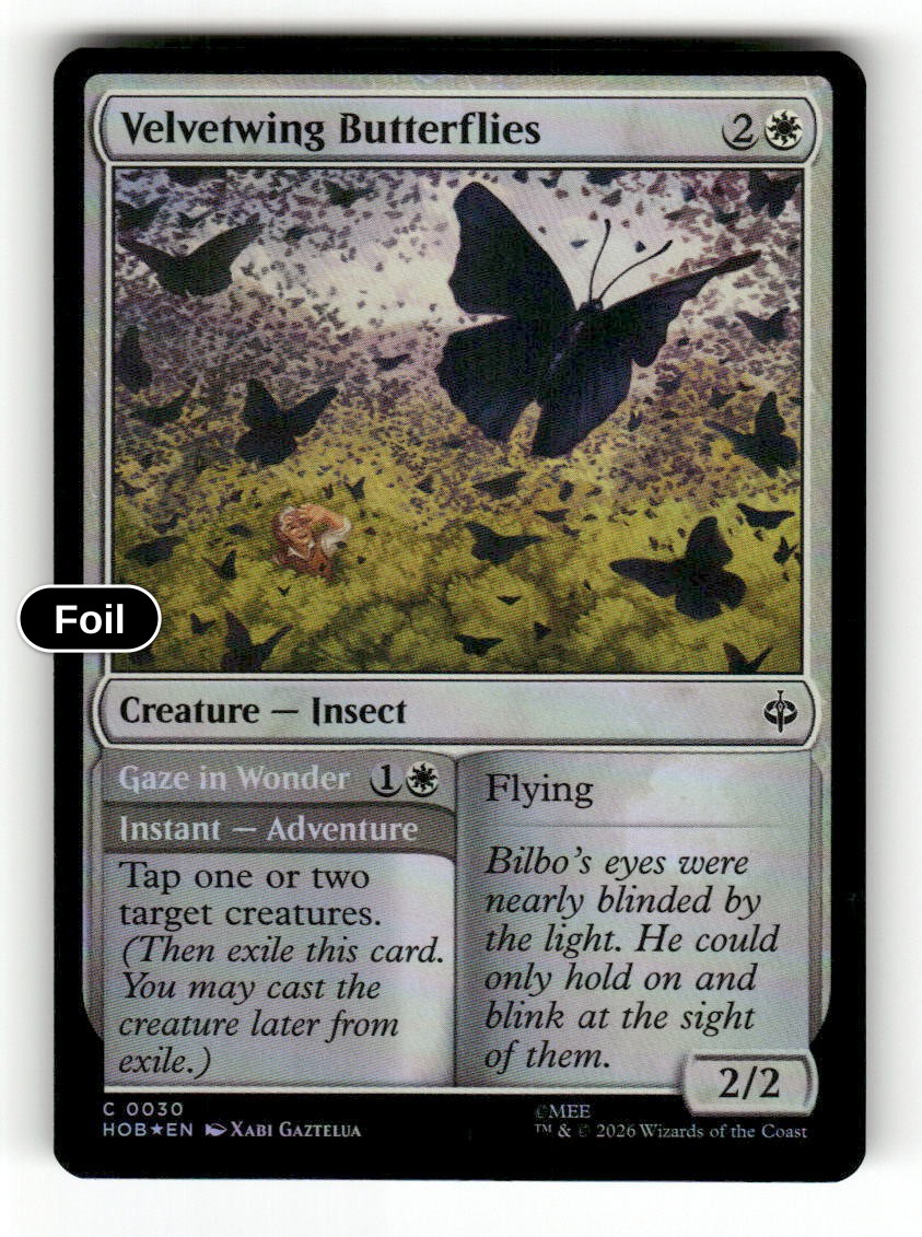 Velvetwing Butterflies