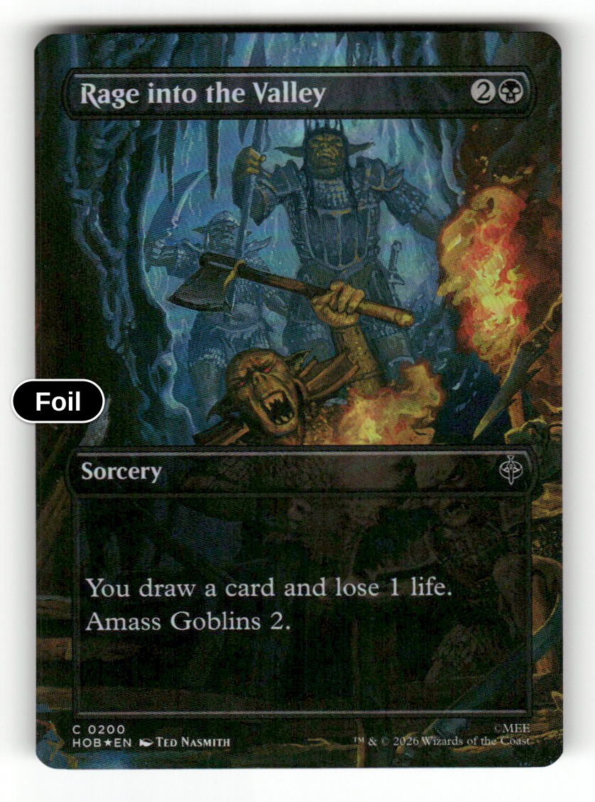 Rage into the Valley (Borderless)