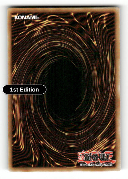 Ruler of the End of the World (Back)