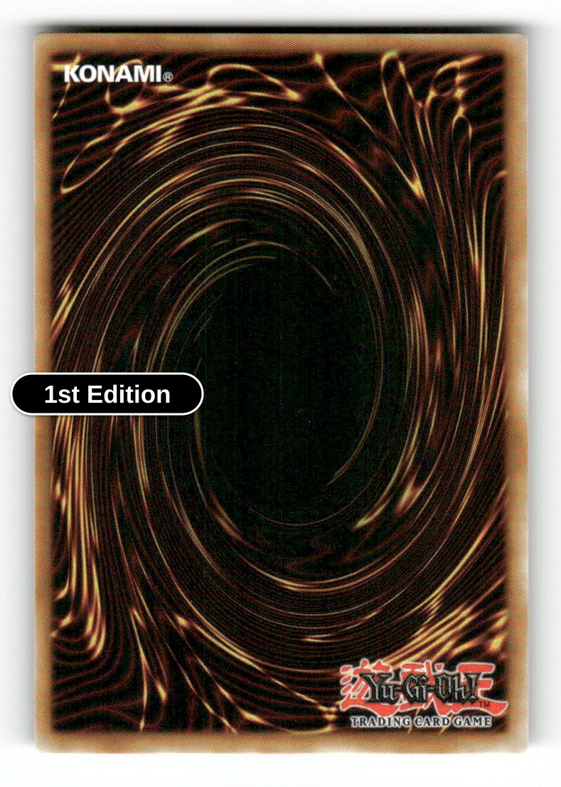 Favorite HERO Shining Flare Wingman (Back)