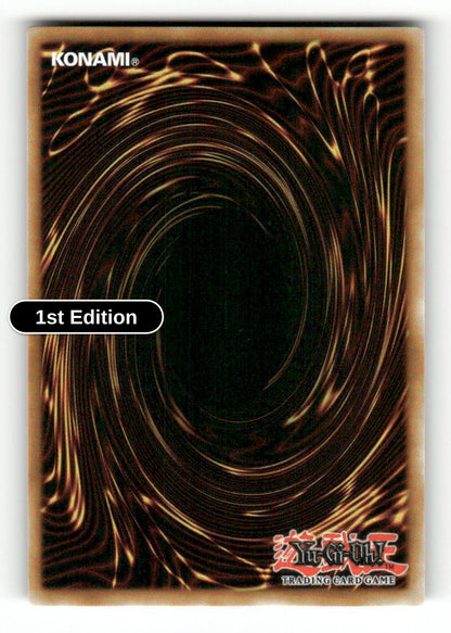 Favorite HERO Shining Flare Wingman (Back)