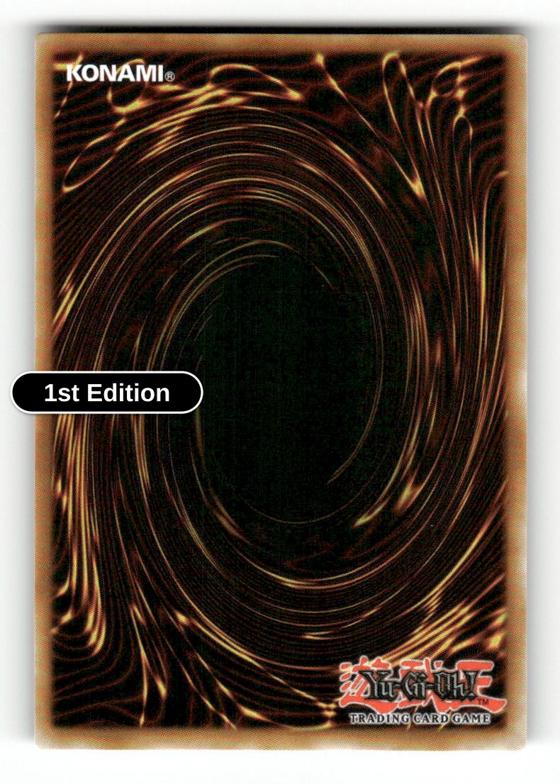 Favorite HERO Shining Flare Wingman (Back)