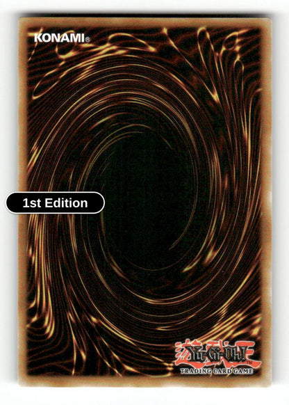 Favorite HERO Shining Flare Wingman (Back)
