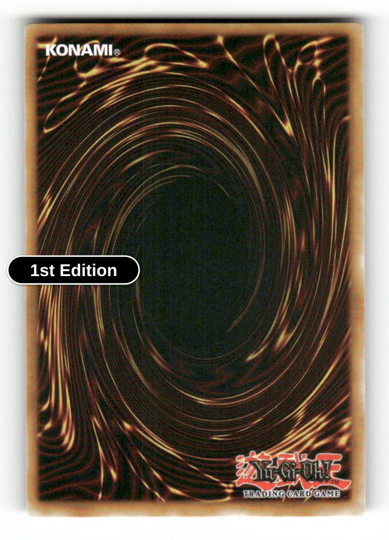 Cyberse Code Magician (Back)