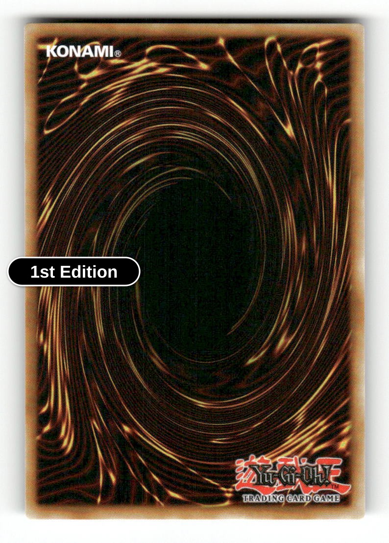 Malefic Force (Back)