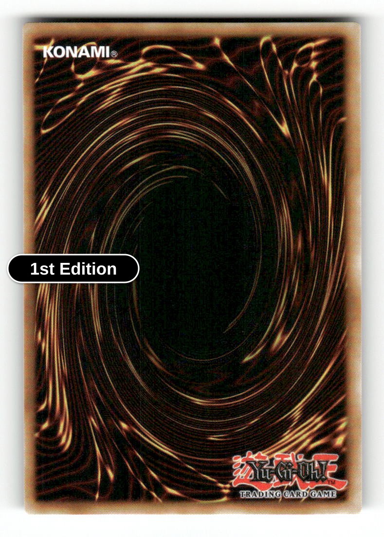 GMX - ALLOS (Back)
