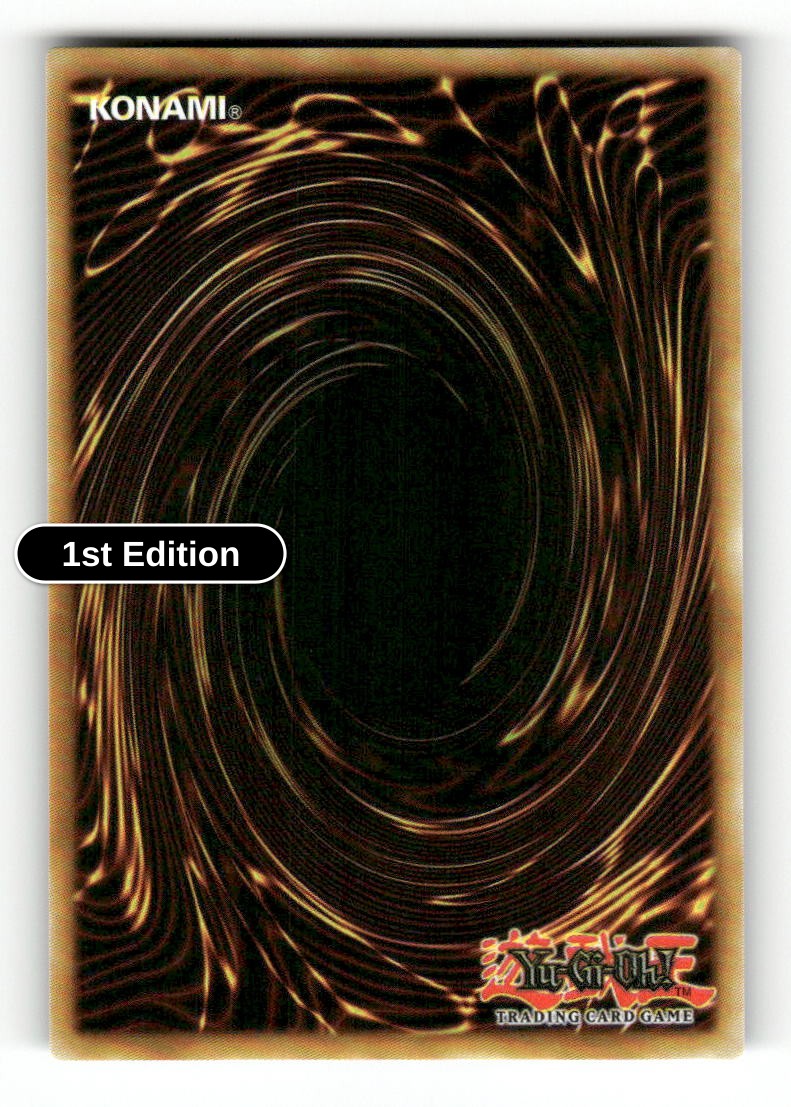 Neos Fusion (Back)