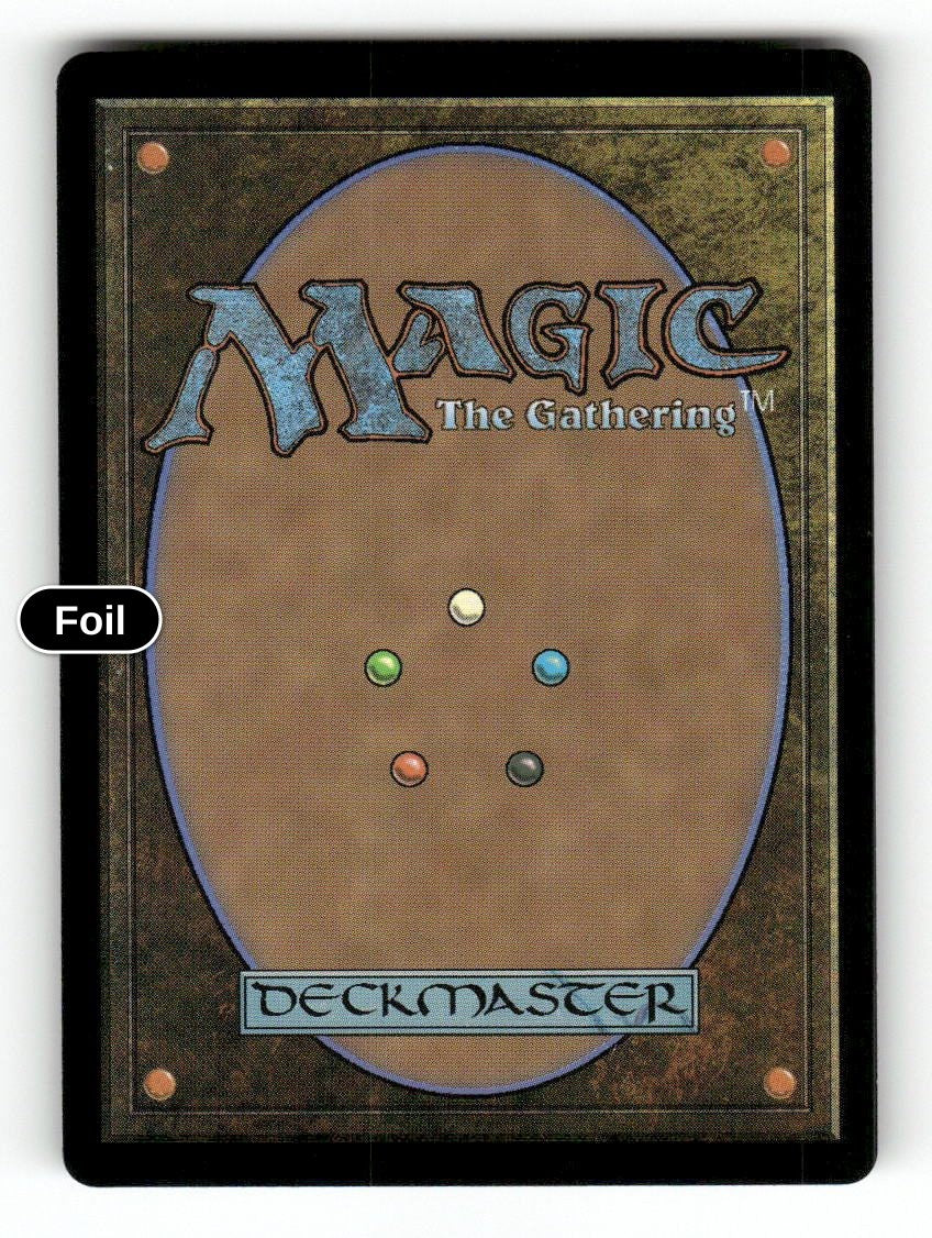 Protege's Awakening (Back)