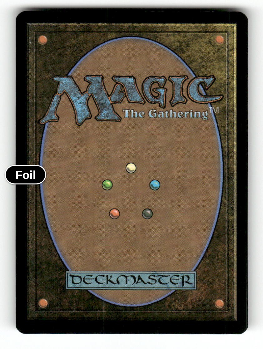 Protege's Awakening (Back)